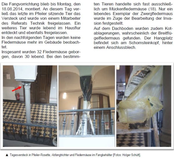 Copyright AiS Fledermausschutz M-V Bild zum Eintrag (70002-160)