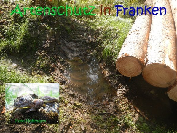 Copyright AiS Peter Hoffmann Bild zum Eintrag (70146-160)