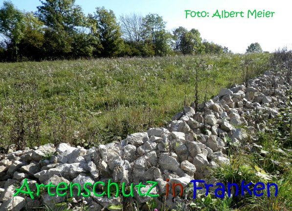 Copyright AiS Albert Meier Bild zum Eintrag (70203-160)