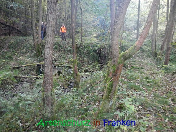 Copyright AiS Thomas Köhler Bild zum Eintrag (70235-160)