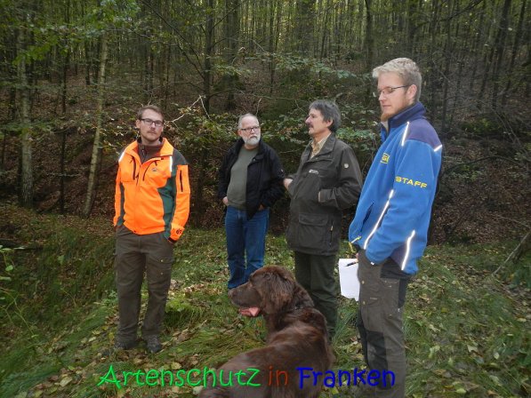 Copyright AiS Thomas Köhler Bild zum Eintrag (70236-160)