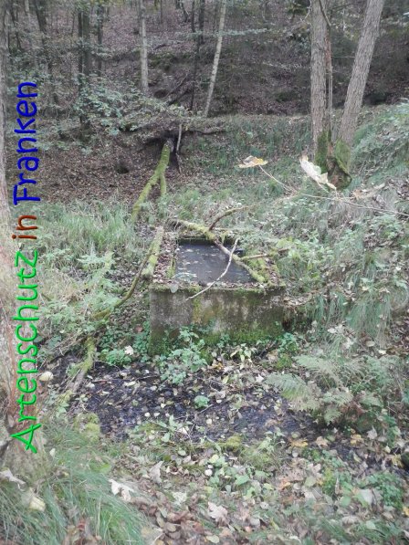 Copyright AiS Thomas Köhler Bild zum Eintrag (70237-160)