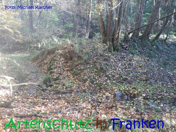 Copyright AiS Michael Kärcher Bild zum Eintrag (70252-160)
