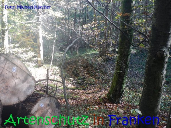 Copyright AiS Michael Kärcher Bild zum Eintrag (70254-160)