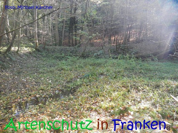 Copyright AiS Michael Kärcher Bild zum Eintrag (70256-160)