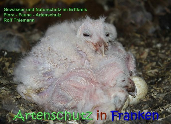Copyright AiS Rolf Thiemann Bild zum Eintrag (70385-160)