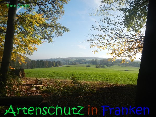 Copyright AiS Jakobi Bild zum Eintrag (70432-160)
