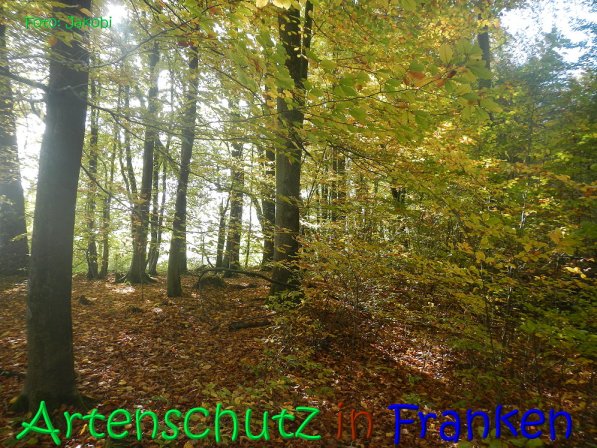 Copyright AiS Jakobi Bild zum Eintrag (70434-160)