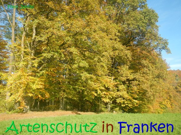 Copyright AiS Jakobi Bild zum Eintrag (70442-160)