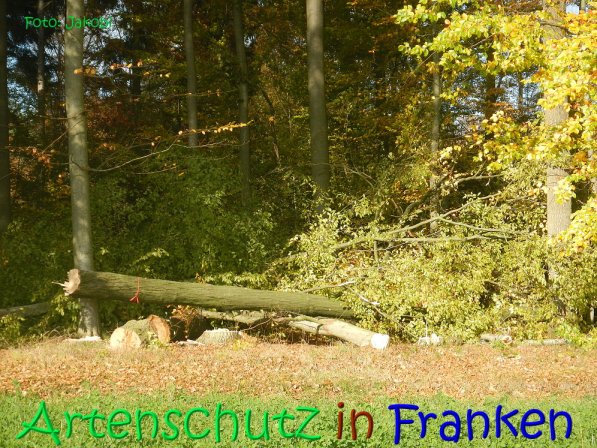 Copyright AiS Jakobi Bild zum Eintrag (70448-160)