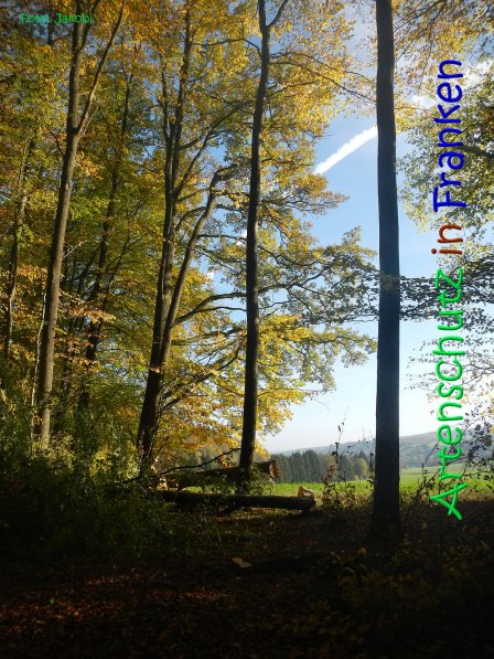 Copyright AiS Jakobi Bild zum Eintrag (70450-160)