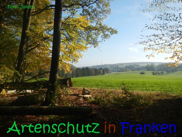 Copyright AiS Jakobi Bild zum Eintrag (70451-160)