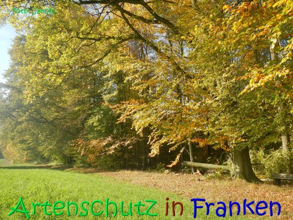 Copyright AiS Jakobi Bild zum Eintrag (70453-160)