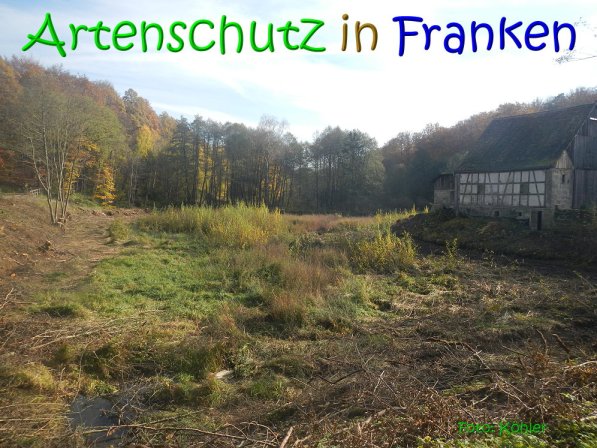Copyright AiS Köhler Bild zum Eintrag (70472-160)