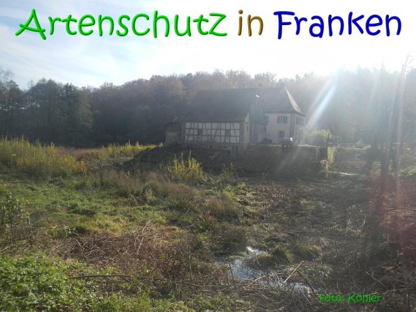 Copyright AiS Köhler Bild zum Eintrag (70477-160)
