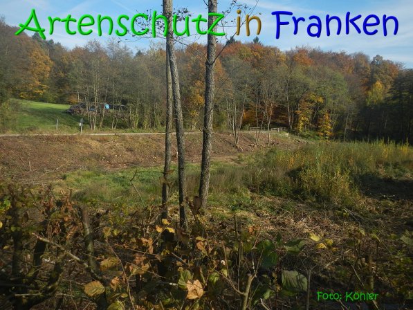 Copyright AiS Köhler Bild zum Eintrag (70478-160)
