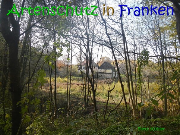 Bild zum Eintrag (70480-160)