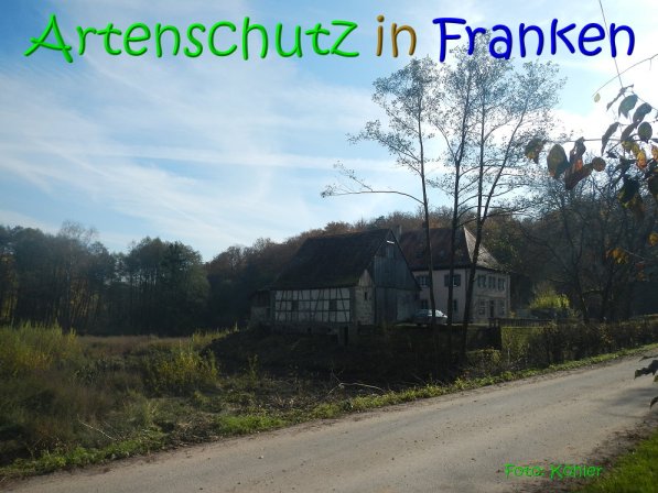 Copyright AiS Köhler Bild zum Eintrag (70494-160)