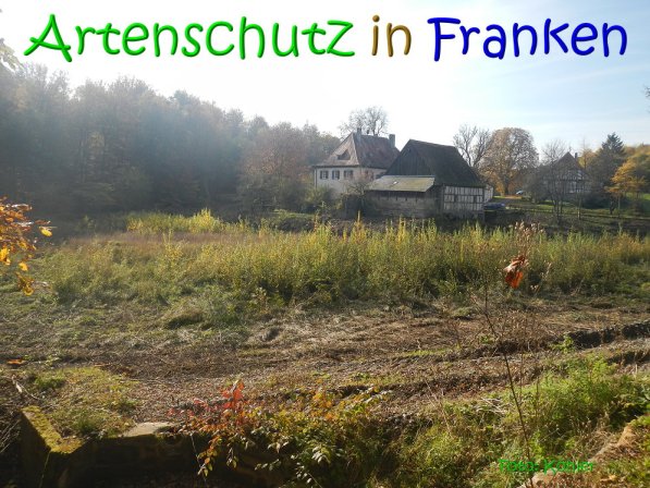 Copyright AiS Köhler Bild zum Eintrag (70496-160)
