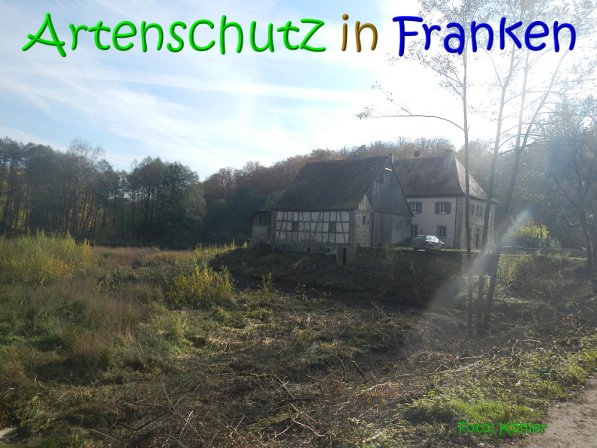 Copyright AiS Köhler Bild zum Eintrag (70497-160)