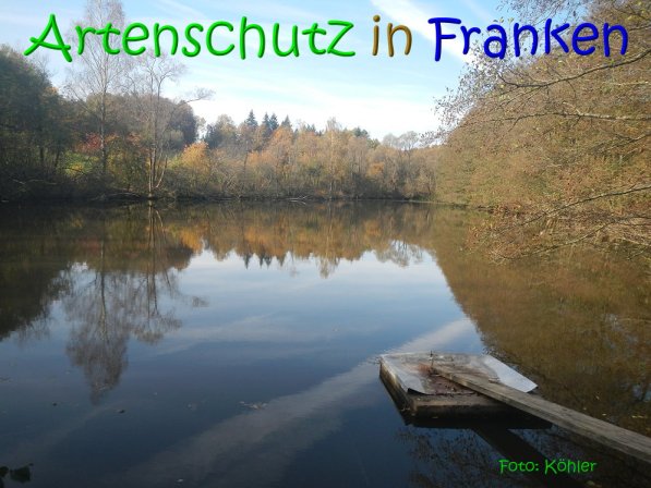 Copyright AiS Köhler Bild zum Eintrag (70499-160)