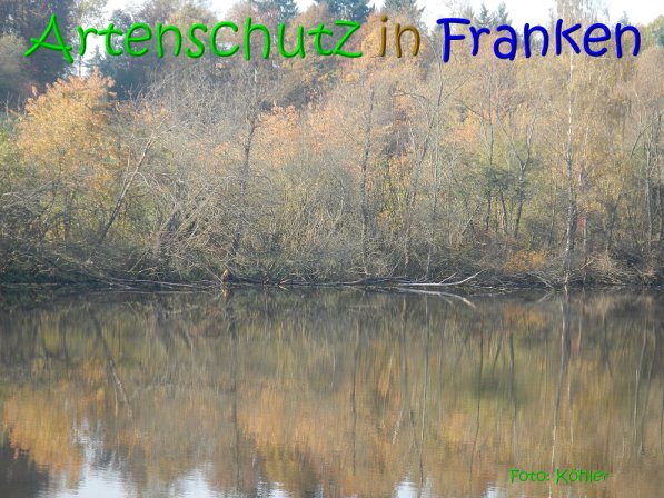 Copyright AiS Köhler Bild zum Eintrag (70500-160)