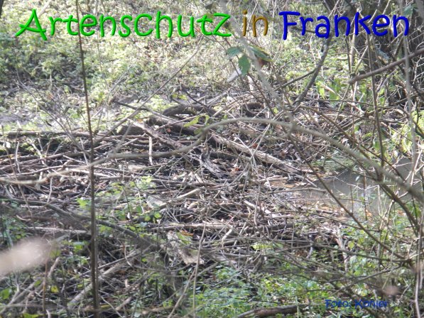 Bild zum Eintrag (70509-160)