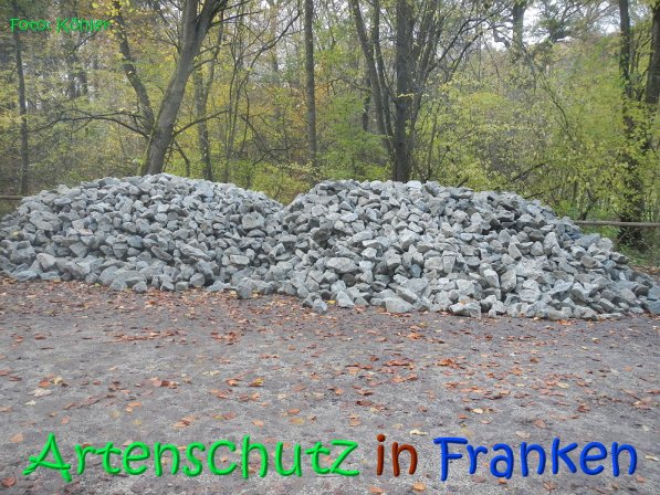 Copyright AiS Köhler Bild zum Eintrag (70550-160)