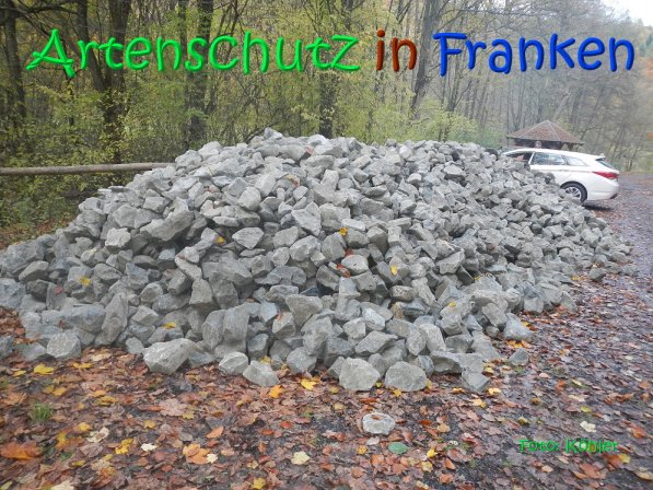 Copyright AiS Köhler Bild zum Eintrag (70551-160)