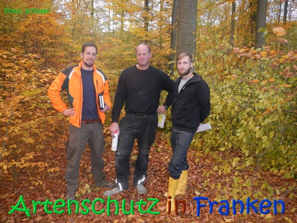 Copyright AiS Köhler Bild zum Eintrag (70552-160)