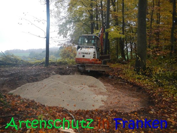 Bild zum Eintrag (70568-160)