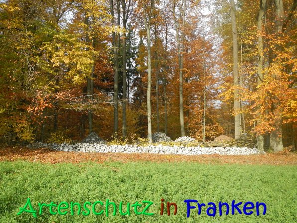 Copyright AiS Leuchner Bild zum Eintrag (70616-160)