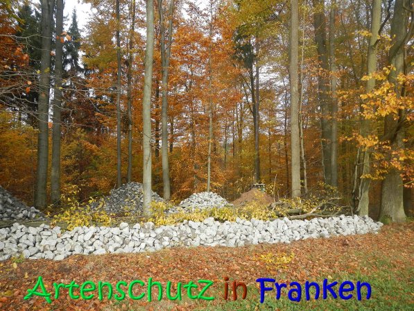 Copyright AiS Leuchner Bild zum Eintrag (70617-160)