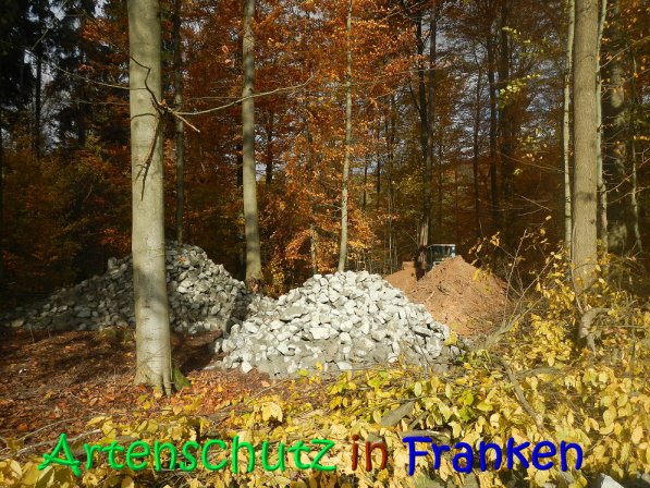 Copyright AiS Leuchner Bild zum Eintrag (70618-160)