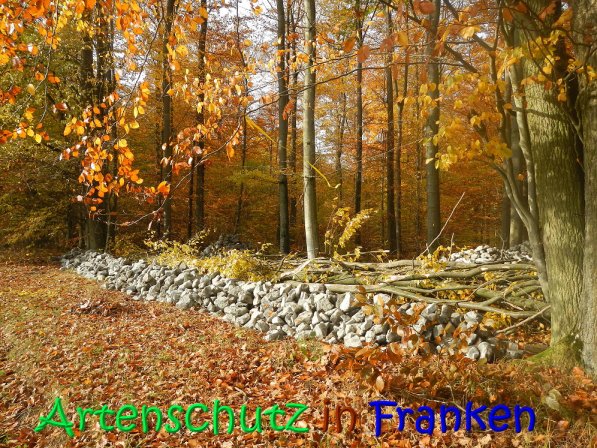 Copyright AiS Leuchner Bild zum Eintrag (70621-160)