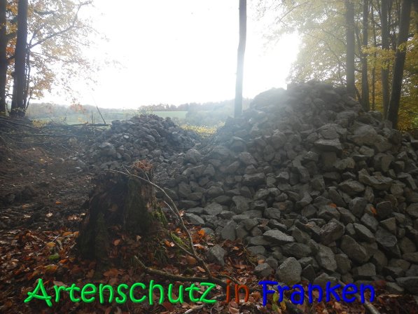 Copyright AiS Leuchner Bild zum Eintrag (70623-160)