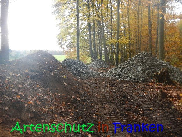 Copyright AiS Leuchner Bild zum Eintrag (70624-160)