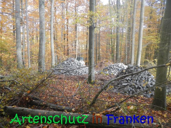 Copyright AiS ,Leuchner Bild zum Eintrag (70625-160)