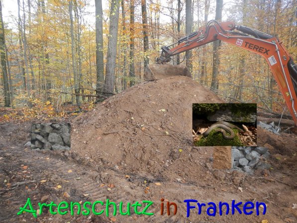 Copyright AiS Leuchner Bild zum Eintrag (70629-160)