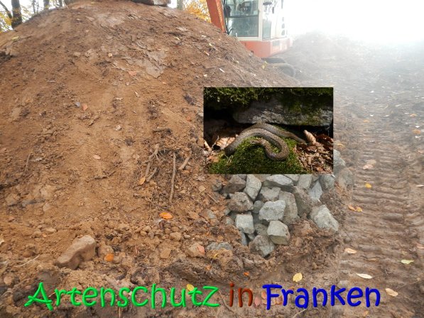 Copyright AiS ,Leuchner Bild zum Eintrag (70630-160)