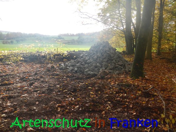 Copyright AiS Leuchner Bild zum Eintrag (70631-160)