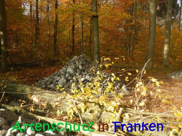 Copyright AiS Leuchner Bild zum Eintrag (70632-160)
