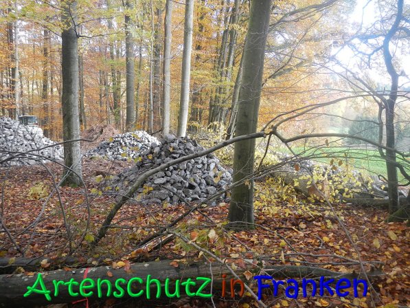 Copyright AiS Leuchner Bild zum Eintrag (70633-160)