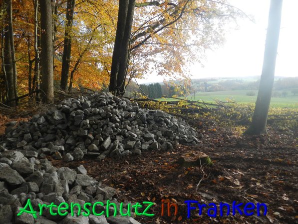 Copyright AiS Leuchner Bild zum Eintrag (70634-160)