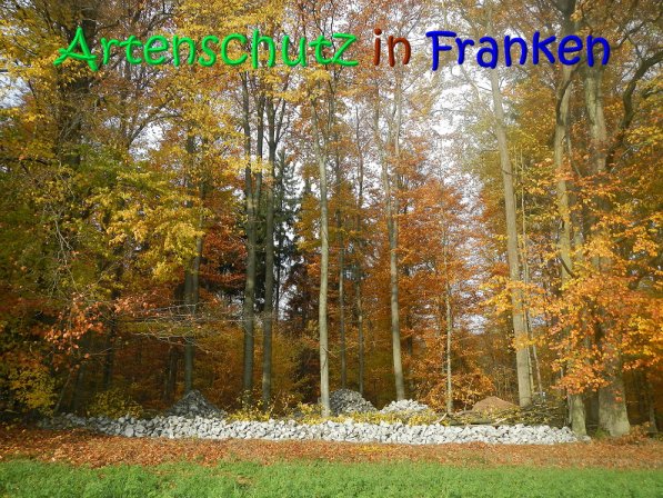 Copyright AiS Leuchner Bild zum Eintrag (70636-160)