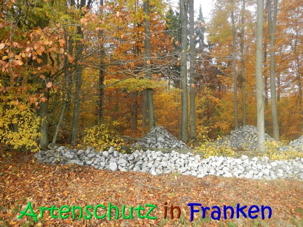 Copyright AiS Leuchner Bild zum Eintrag (70637-160)