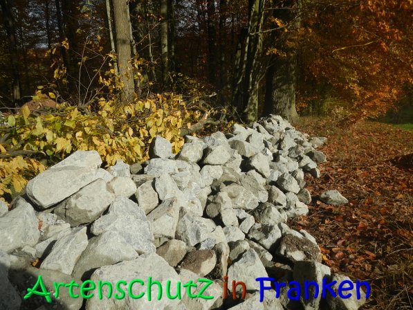 Copyright AiS Leuchner Bild zum Eintrag (70638-160)