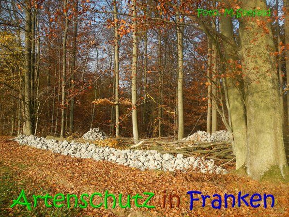 Copyright AiS Seefeld Bild zum Eintrag (70722-160)