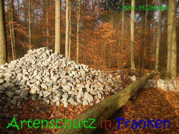 Copyright AiS Seefeld Bild zum Eintrag (70724-160)