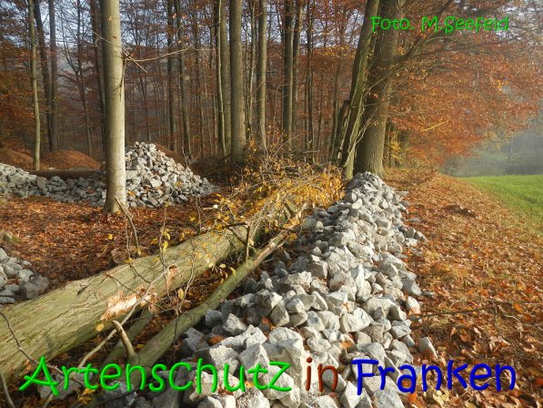 Copyright AiS Seefeld Bild zum Eintrag (70725-160)